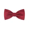 New Bow Tie Formal Accessories
