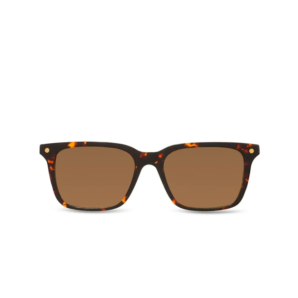 New Elite Sunglasses Eyewear