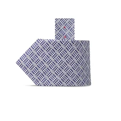 Shop Hand Printed Silk Tie Ties