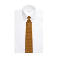Best Sale Hand Printed Silk Tie Ties