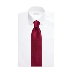 Hot Hand Printed Silk Tie Ties