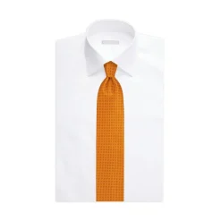 New Hand Printed Silk Tie Ties