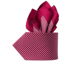 Fashion Hand Printed Silk Tie Set Ties