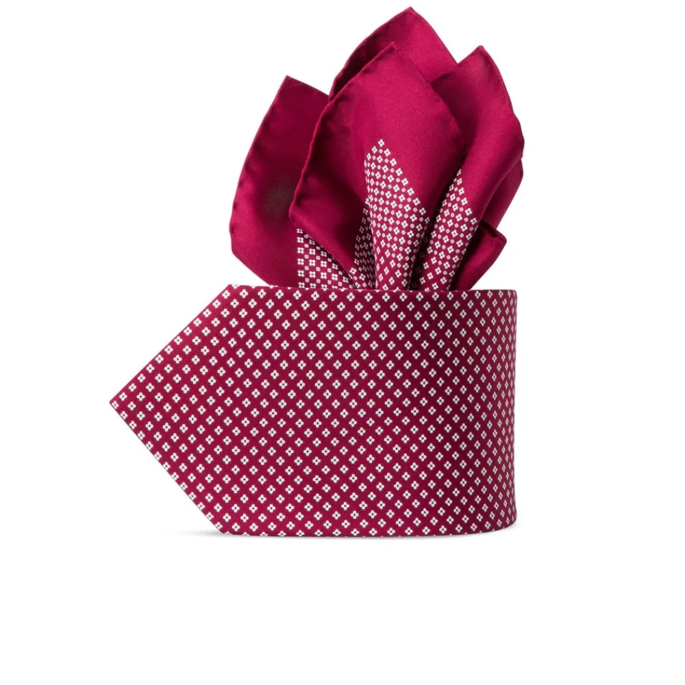 Fashion Hand Printed Silk Tie Set Ties