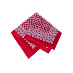 Outlet Hand Printed Silk Tie Set Ties