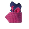 Hot Hand Printed Silk Tie Set Ties