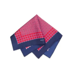 Hot Hand Printed Silk Tie Set Ties
