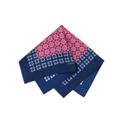 Hot Hand Printed Silk Tie Set Ties