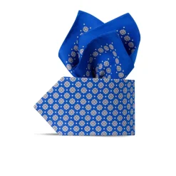Hot Hand Printed Silk Tie Set Ties