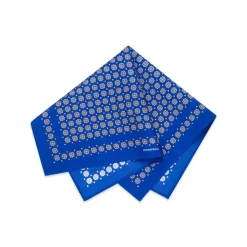 Hot Hand Printed Silk Tie Set Ties