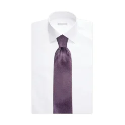 Best Sale Luxury Hand Printed Silk Tie Ties