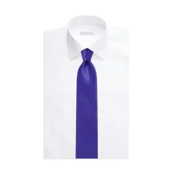 Hot Luxury Hand Printed Silk Tie Ties