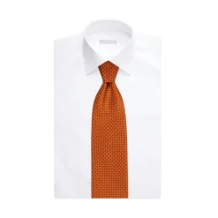 Sale Luxury Hand Printed Silk Tie Ties