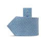 Store Luxury Hand Printed Silk Tie Ties