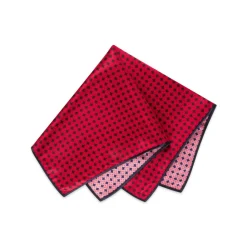 Online Luxury Hand Printed Silk Tie Set Ties