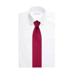 Hot Luxury Handmade Silk Tie Ties