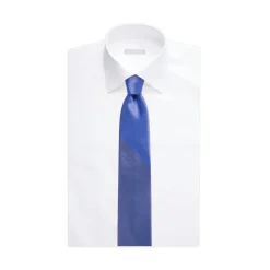 Store Luxury Handmade Silk Tie Ties