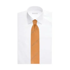 Shop Luxury Handmade Silk Tie With Swarovski Formal Accessories