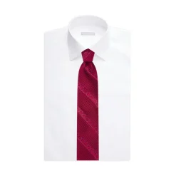 Best Luxury Pleated Silk Tie Formal Accessories