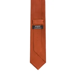 Shop Pleated Silk Tie With Swarovski Crystals Formal Accessories