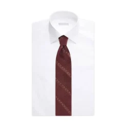 Online Pleated Silk Tie With Swarovski Crystals Formal Accessories