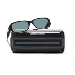 Shop Pride Sunglasses Eyewear