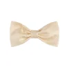 Cheap Silk And Swarovski Detail Bow Tie Formal Accessories