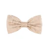 Fashion Silk Bow Tie Formal Accessories