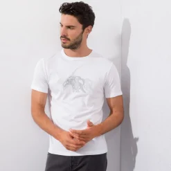 Fashion T-Shirt Mens Last Sizes